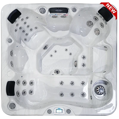 Avalon-X EC-849LX hot tubs for sale in Wellington